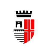 Rimini logo