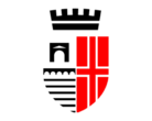 Rimini logo
