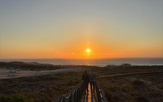 Cascais Dunes 3