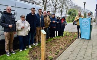 In de Vaartstraat en de Sint-Pietersgroenestraat kreeg een elftal groenstroken een peter of een meter.jpg