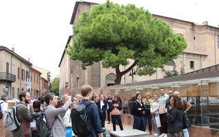 Particiants on study visit A group of people standing around listening to a presenter outside. The background includes some buildings that look like heritage buildings and a beautiful tree.