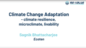 Digital Twins: Climate Change Adaptation