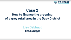 Financing the Greening of the Grey Quay District