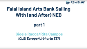 NEB Incubations: From Ideas to Roadmaps and Interventions in Horta