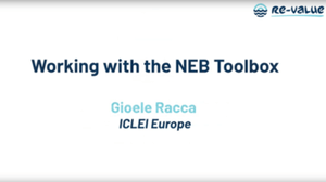 Working with the NEB Toolbox