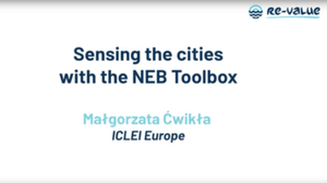 Sensing the Cities with the NEB Toolbox