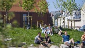 Summer at the Culture Harbour in Ålesund