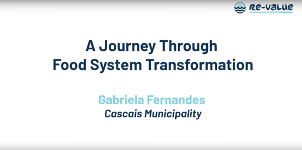 02 Inclusiveness and Diversity - Gabriela Fernandes 02 Inclusiveness and Diversity - Gabriela Fernandes
