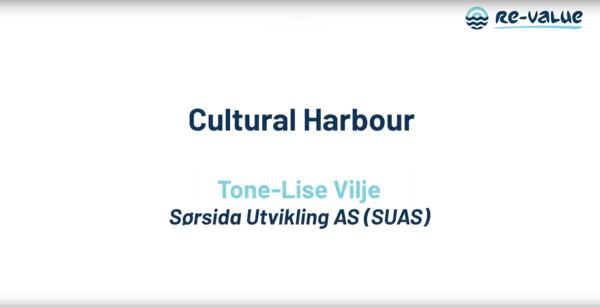 0 Inclusiveness and Diversity - Vilje