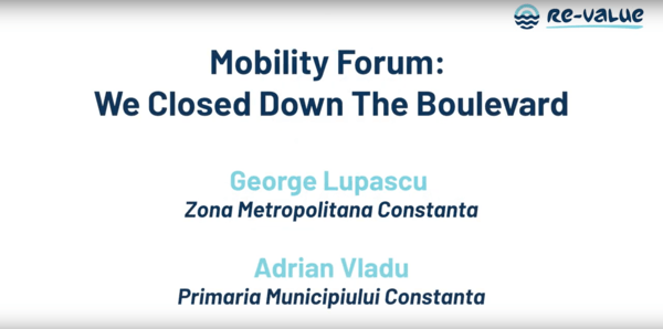 04 Inclusiveness and Diversity - Lupascu&Vladu 04 Inclusiveness and Diversity - Lupascu&Vladu